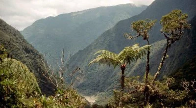 Nationalpark-Rio-Abiseo Nationalpark Rio Abiseo Peru