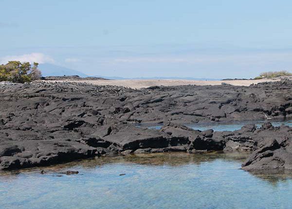 Punta espinoza auf galapagos insel fernandina