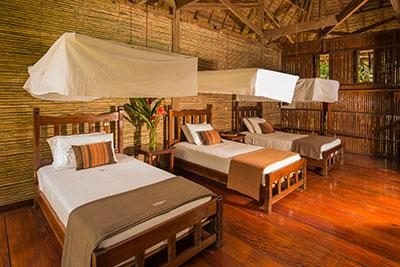 Superior Zimmer der Refugio Amazonas Lodge in Peru