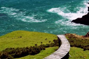 Steg zum Meer auf der Insel Chiloé