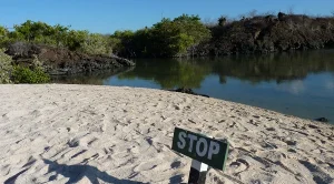 Strand-Bachas-Beach-Santa-Cruz) BAchas Beach auf Santa Cruz