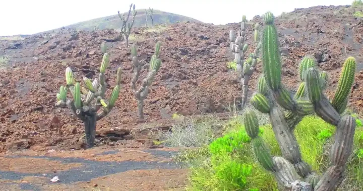 Vulkan Sierra Negra auf der Galapagos Insel Isabela