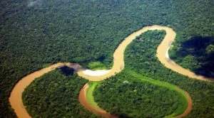 Yasuni-768×511 Flussschleife im Yasuní Nationalpark