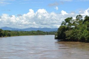 Der Amazonas Regenwald in Peru eignen sich hervorragend für spannende Flusskreuzfahrten