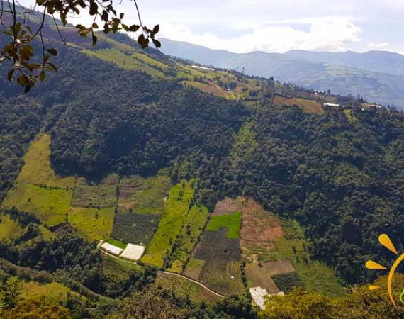 Aussicht Baños de Agua Santa