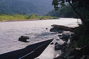 Boot auf Fluss im Regenwald von Peru