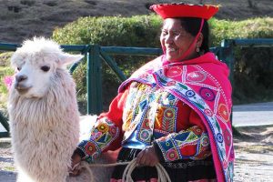 Indigene mit Lama Cusco