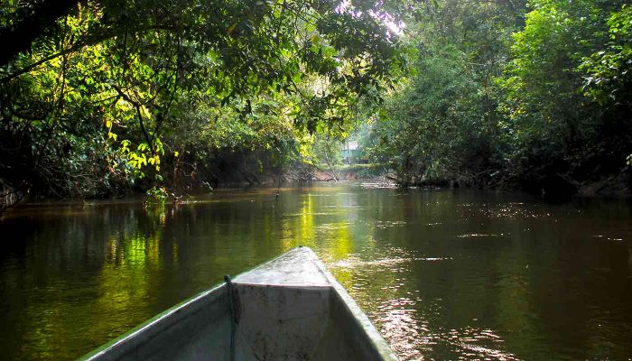 Boot auf Fluss im Regenwald in Ecuador, Cuyabeno