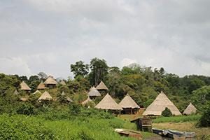 Dorf im Urwald in Panama