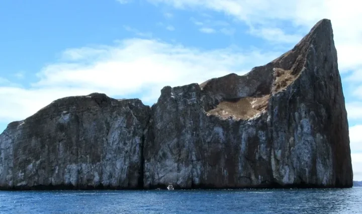 kicker rock galapagos banner