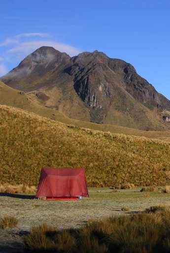 Llama Trek Ecuador