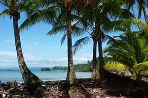 Nuqui an der Pazifikküste Kolumbiens