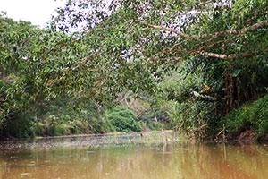 Fluss im Urwald in Panama
