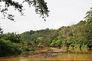 Urwald Regionen Panama