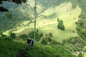 Wanderung in der Kaffeeregion Kolumbiens