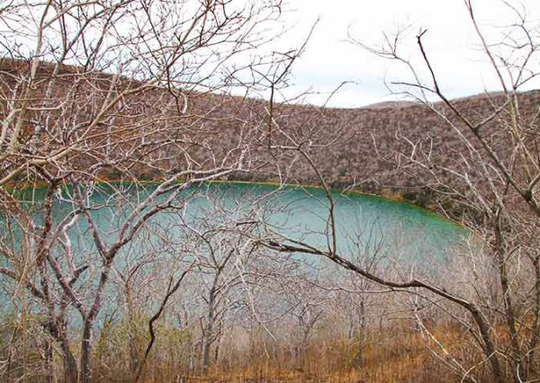 Tagus Cove Isabela Galapagos