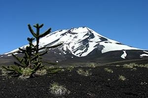 Vulkan Lonquimay in Araucania Chile