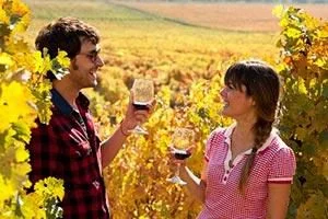 Reise durch Chiles Weinanbauregion