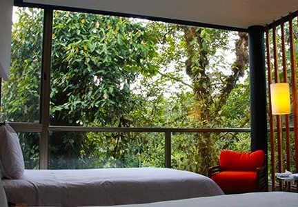 Zweibettzimmer Mashpi Lodge Nebelwald Ecuador