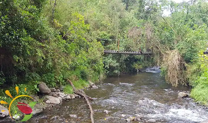 Brücke über den Fluss am Eingang zum Öko-Reservat Santa Rita