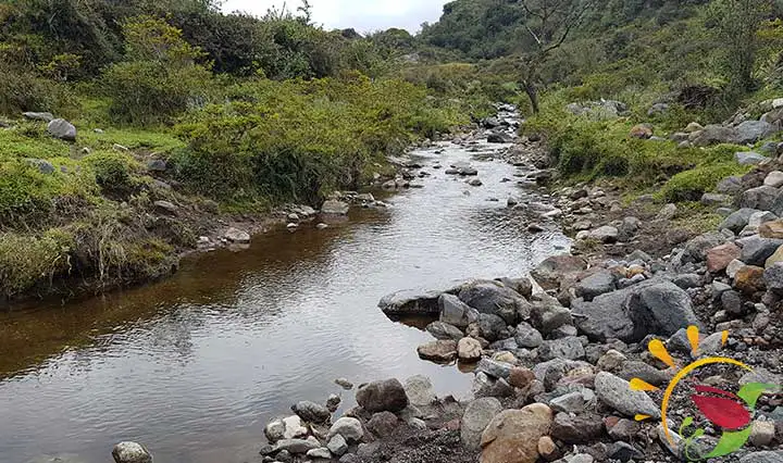 Bach und Natur im Naturreservat Santa Rita