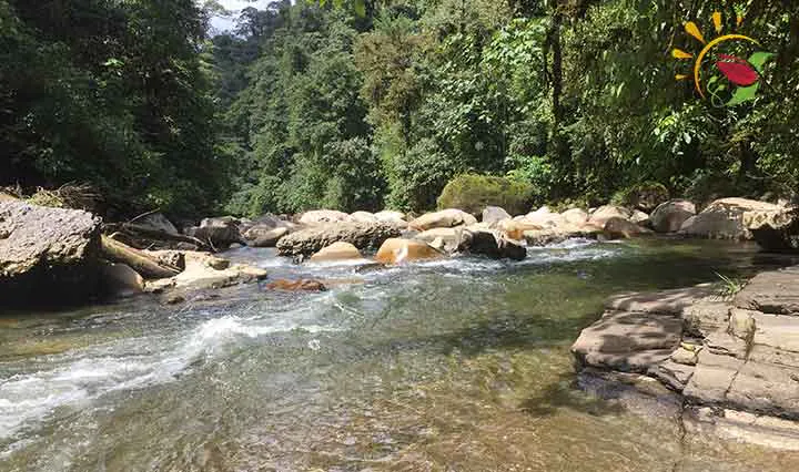Rio Anzu Ecuador
