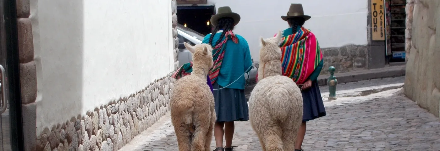 frauen lamas cuzco peru banner