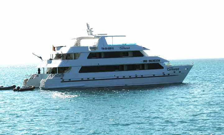 Galapagos Kreuzfahrt auf dem Katamaran Cormorant