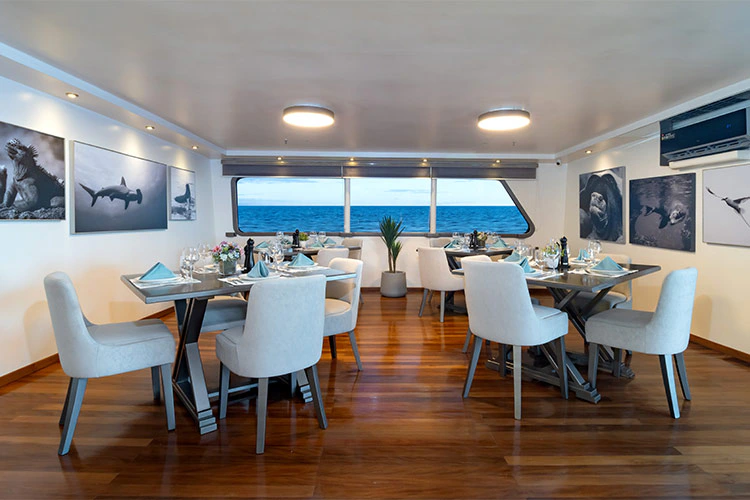 Restaurant des Trimarans Galapagos Horizon