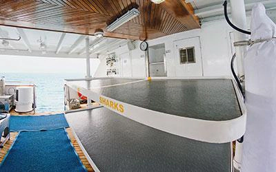 Tauchplattform der Tauchyacht Galapagos Sky