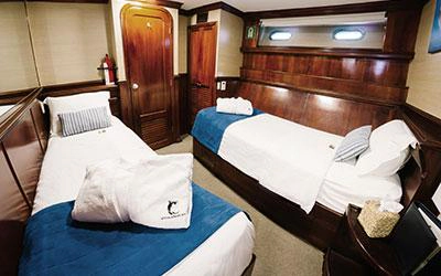 Zweibettkabine der Tauchyacht Galapagos Sky