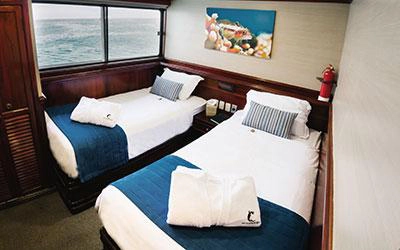 Zweibettkabine der Tauchyacht Galapagos Sky