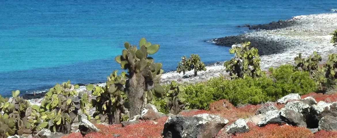 galapagos south plazas banner