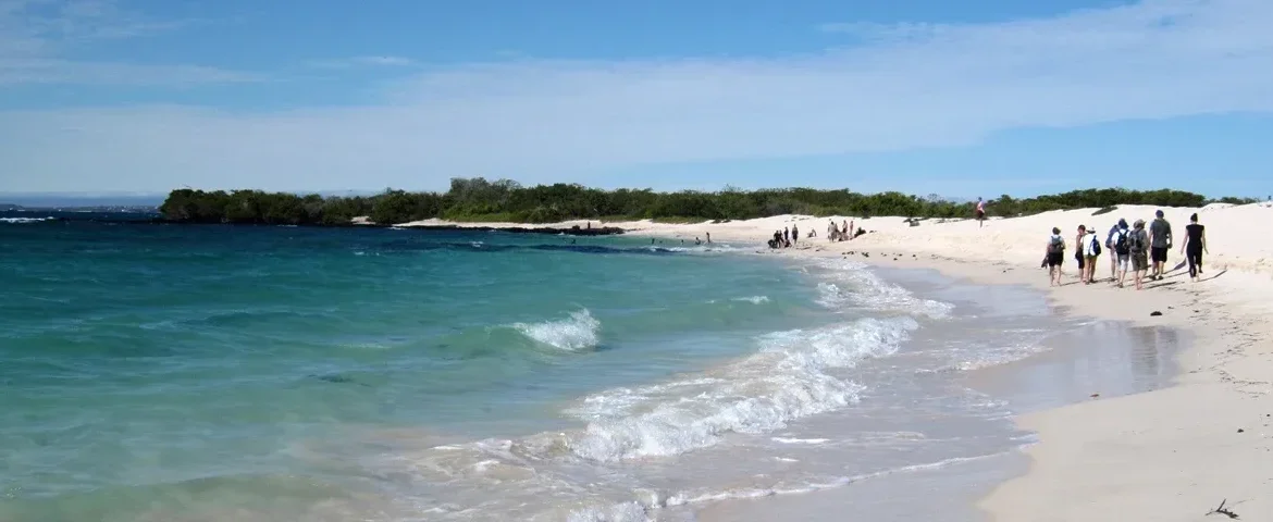 galapagos turtle bucht banner