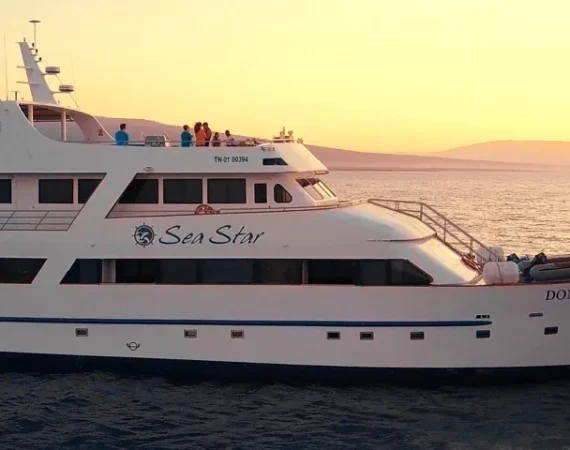 galapagos_sea_star_journey seitenansicht banner