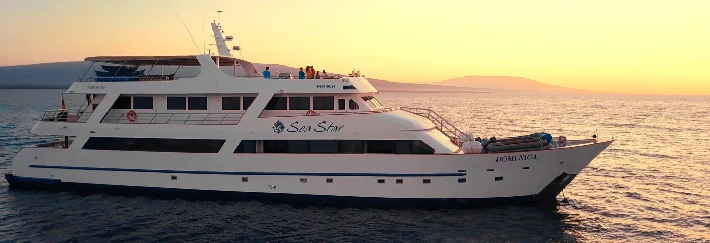 galapagos_sea_star_journey seitenansicht banner