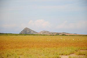 Guajira Halbinsel in Kolumbien