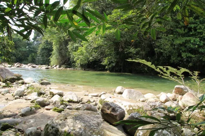 hakuna matata fluss ecuador