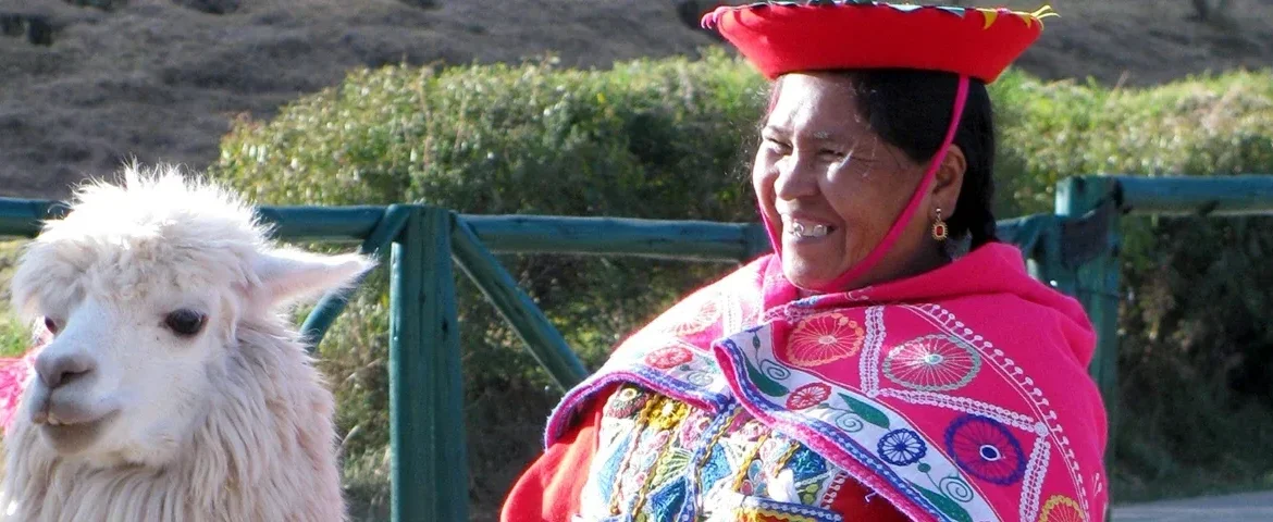 indigena alpaka cuzco peru banner