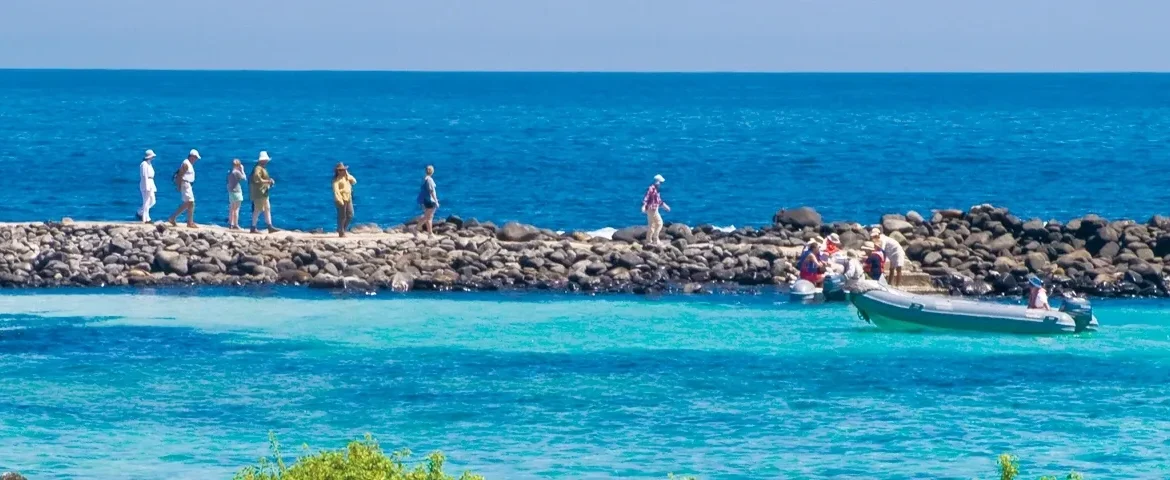 insel genovesa galapagos banner