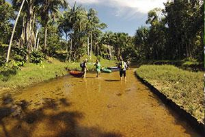 kolumbianische Amazonasregion