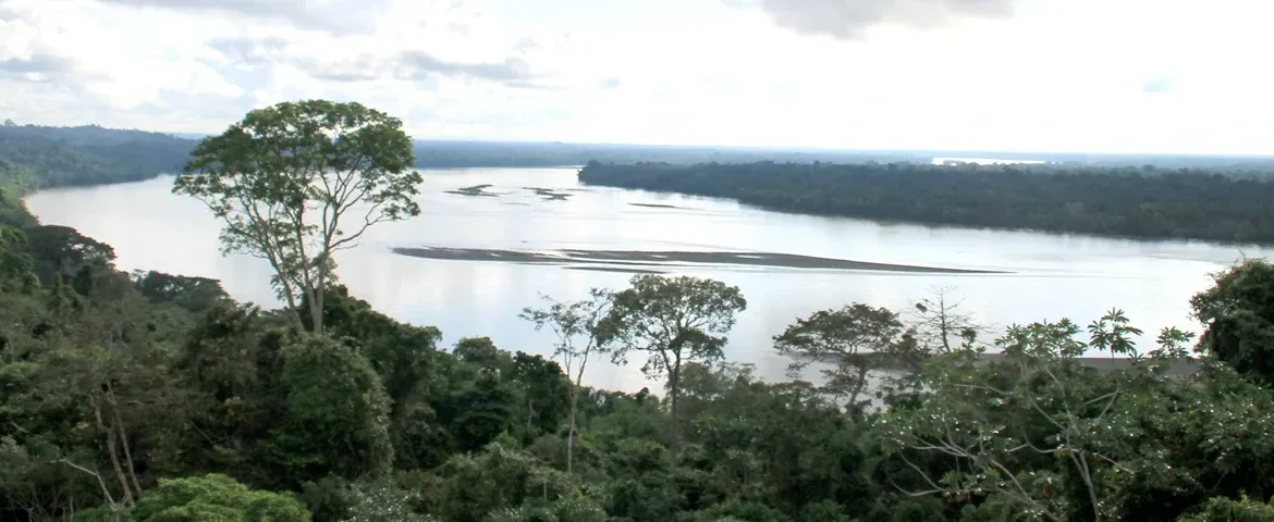 la selva flusslandschaft ecuador banner