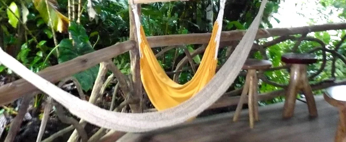 liana lodge haengematen ecuador banner
