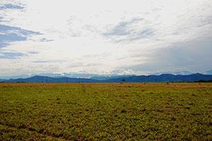 Los Llanos Region Kolumbien