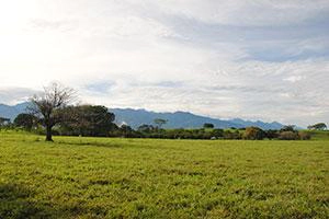 Los Llanos Region Kolumbien