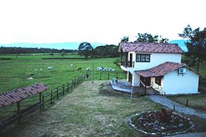 Los Llanos Region Kolumbien