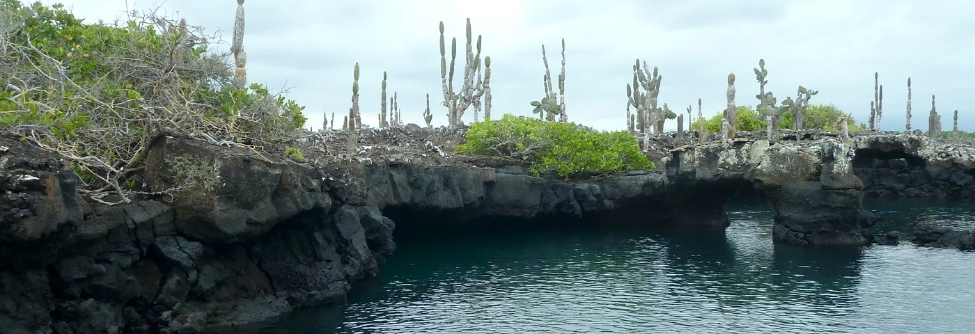 moreno point isabela galapagos banner