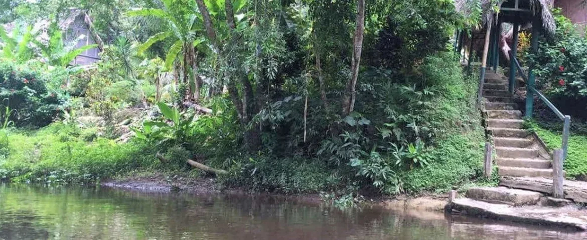 napo fluss yacuma banner