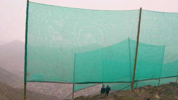 Nebelfänger an den Hängen vor Lima