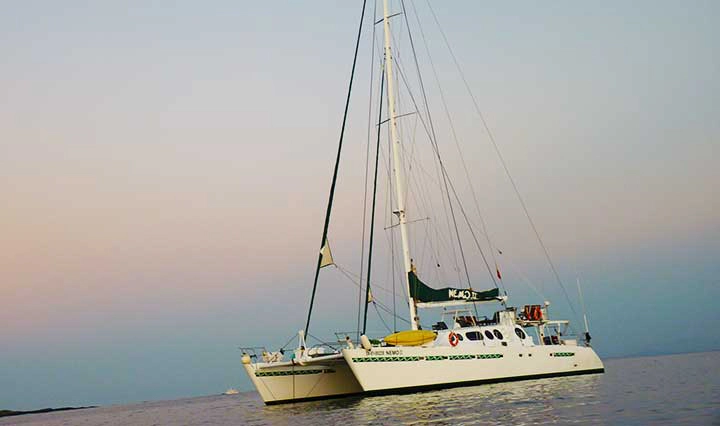 Nemo II Galapagos Kreuzfahrt Segelkatamaran